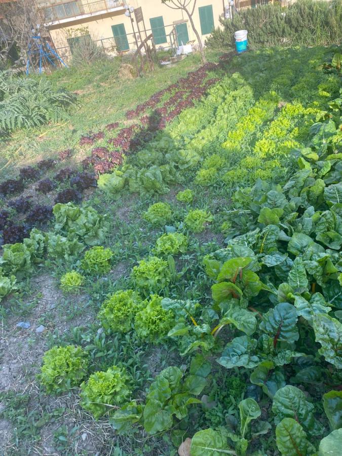 Agriturismo A Ca Du Cappellan Villa Imperia Eksteriør bilde